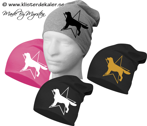 Hat print Golden Retriever