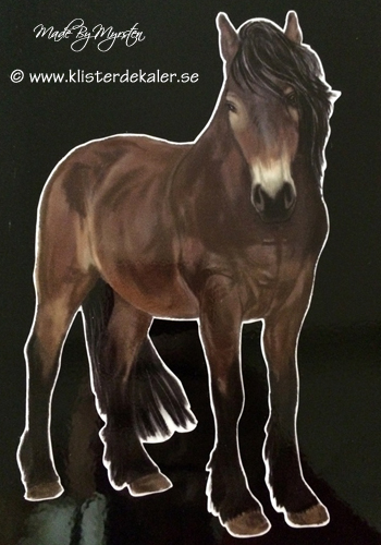North Swedish horse, bumper  - 2