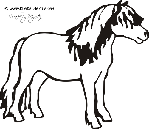 Shetlandspony