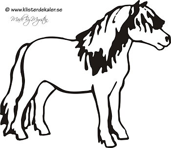 Shetlandsponny