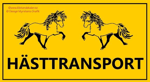 Transportdekal front 3 Islandshäst 