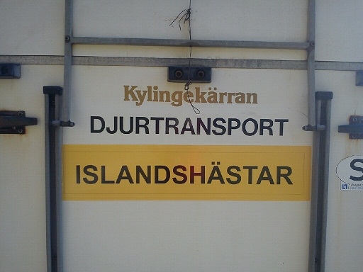 Transport decal 20x90 ore 13x80 - 3