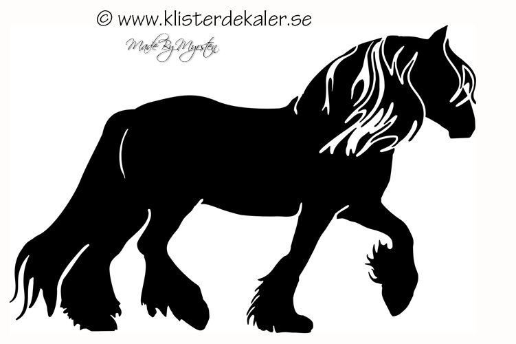 Tinker - Irish Cob Profil 1
