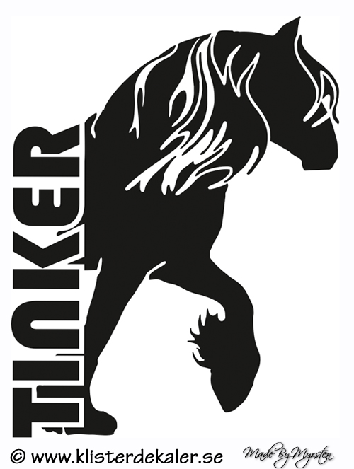 Tinker - FRONT 2