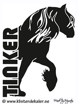 Tinker - FRONT 2
