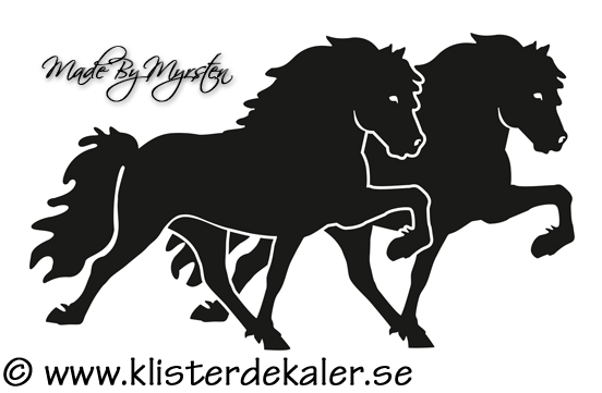 Double Icelandic horses in Tölt 4