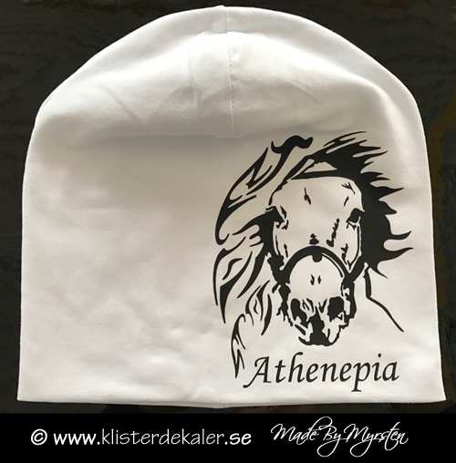 Hat  horses with your own names prints