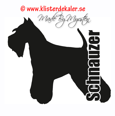 Schnauzer profile, text - 2