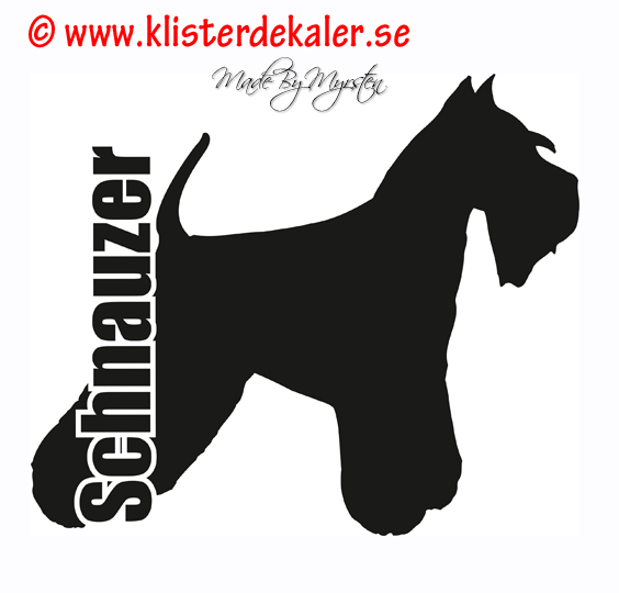 Schnauzer profile, text