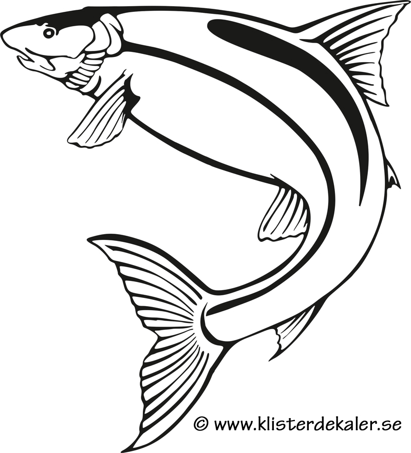 Bildekal Fisk - profil 1