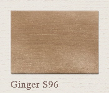 S96 Ginger - PAINTING THE PAST