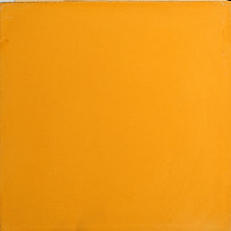 VN Egal Amarillo S2,2