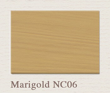 NC06 Marigold - PAINTING THE PAST