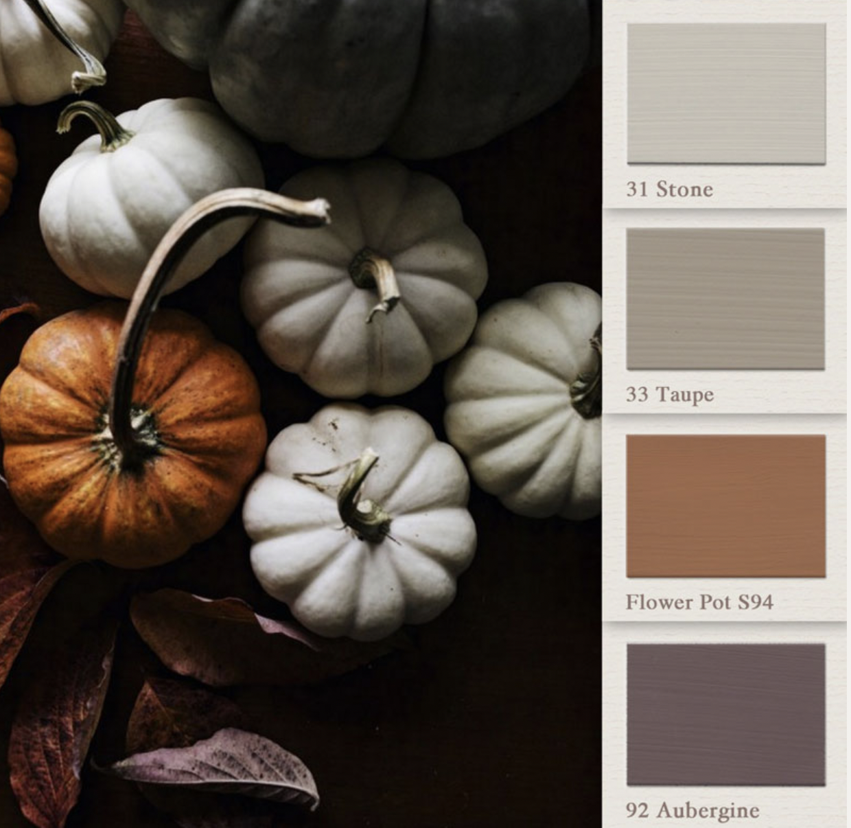 Moodboard (1) - Flower Pot - PAINTING THE PAST