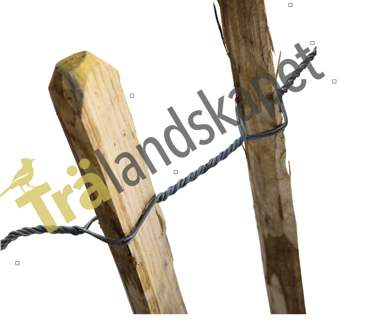 Kastanjestaket glest, höjd 122 cm längd 10 meter, engelskt - 7