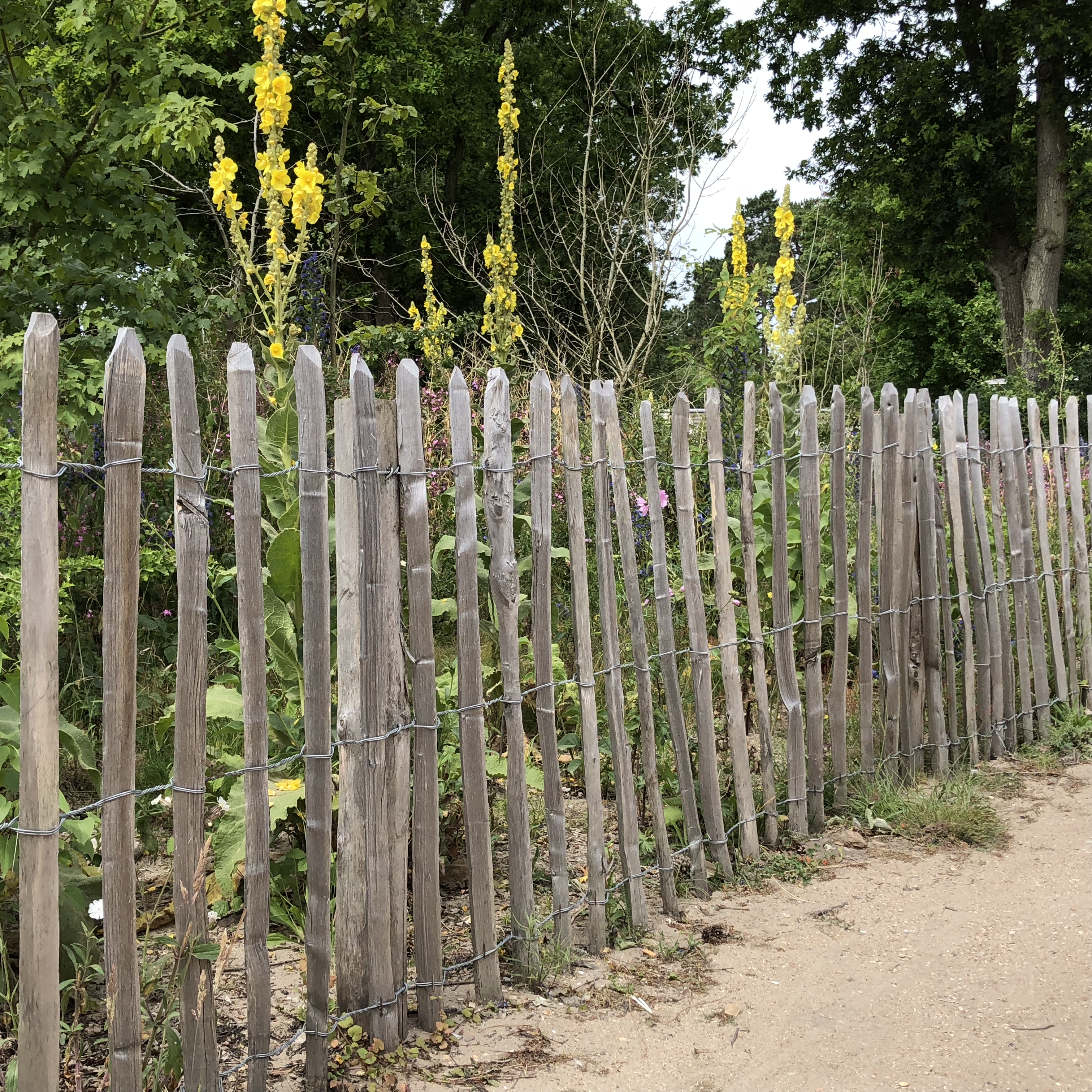 Kastanjestaket glest, höjd 122 cm längd 10 meter, engelskt - 4