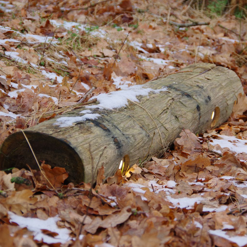 Gångbelysning TRONCO Timberlab - Stock som belysning