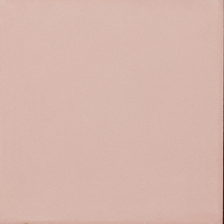 VN Egal Pink S855