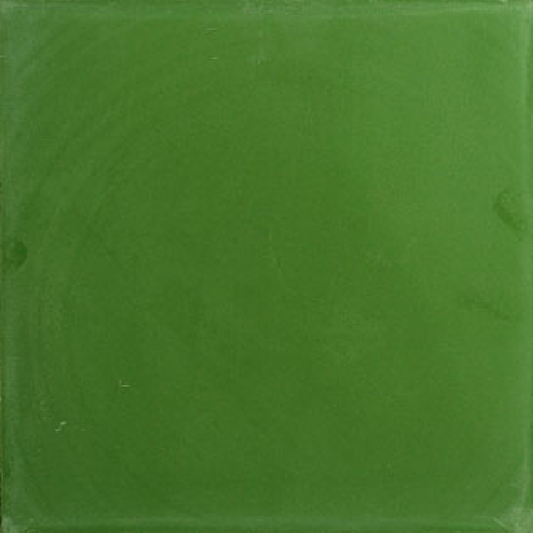 VN Egal Verde S1305030
