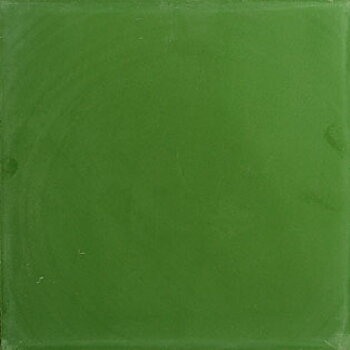 VN Egal Verde S1305030