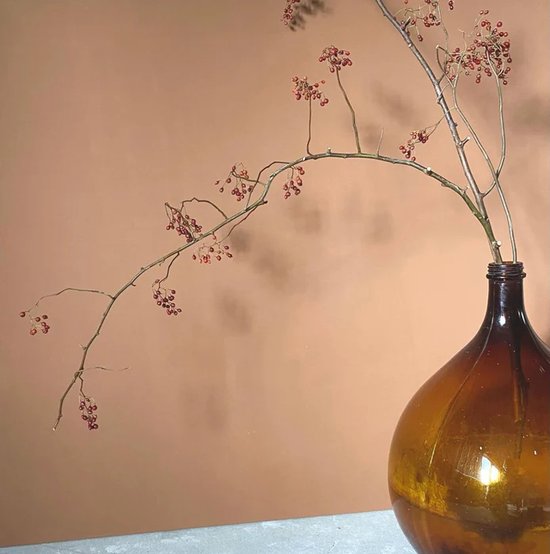 Amber - Plant