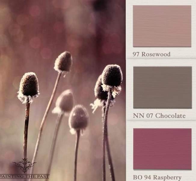 Moodboard - Raspberry - PAINTING THE PAST