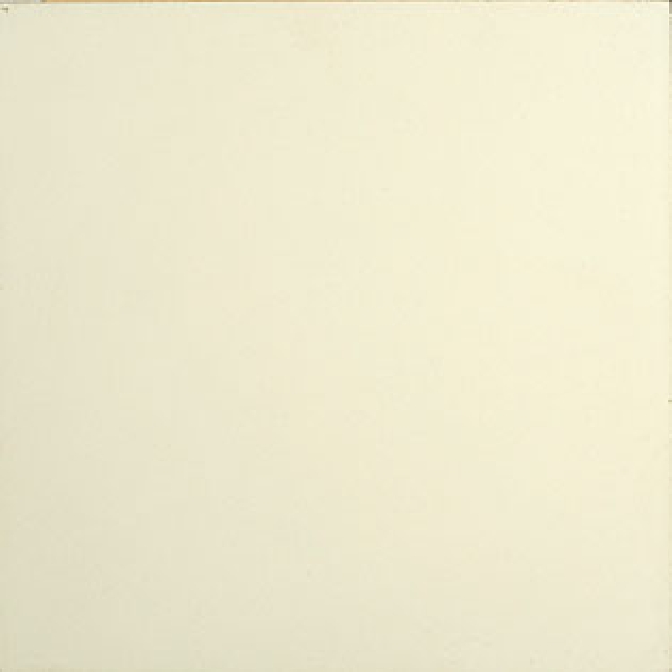 VN Egal Blanc S834