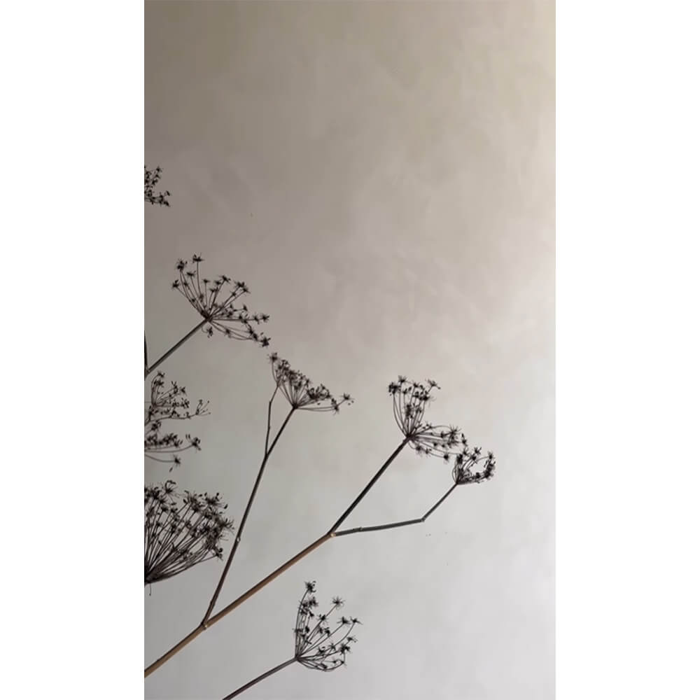 Cashmere - PAINTING THE PAST - Environment