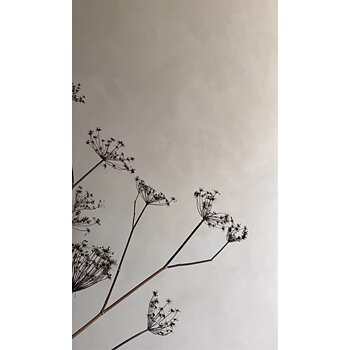 Cashmere - PAINTING THE PAST - Environment