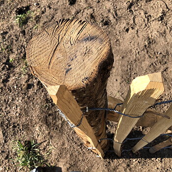 Kastanjestolpe längd 150 cm Ø 8-10 cm skalad, spetsad (A+)