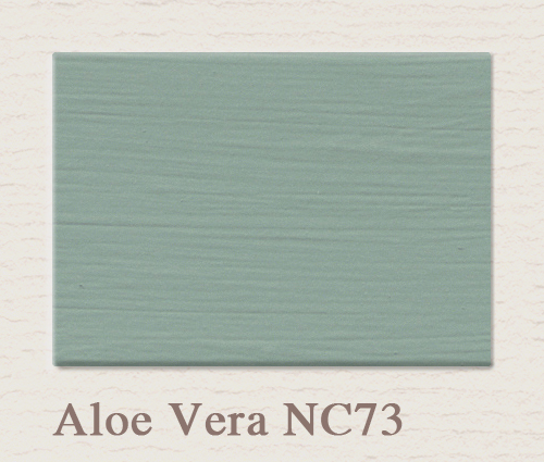 NC73 Aloe Vera - PAINTING THE PAST