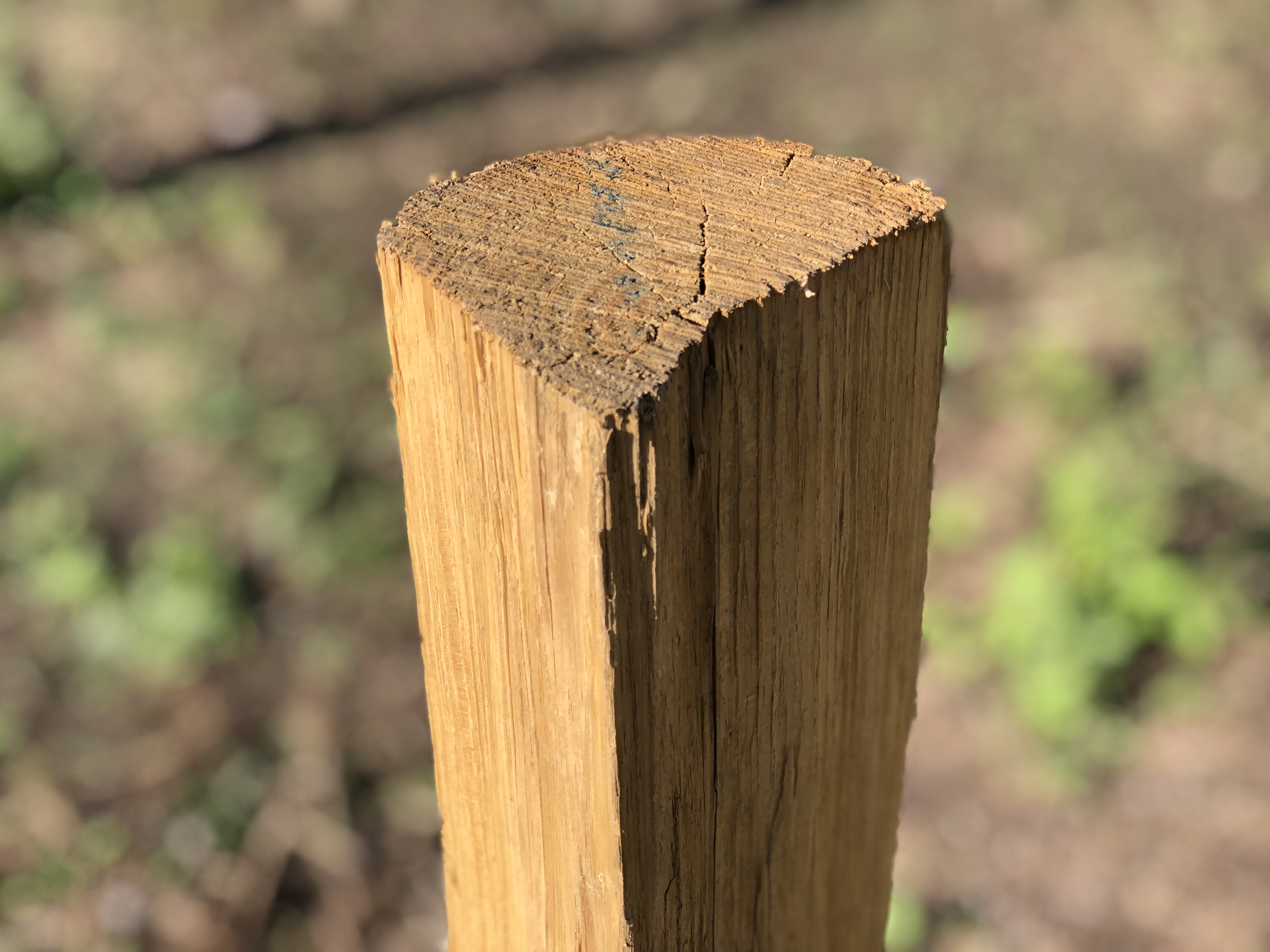 Kastanjestolpar längd 160 cm diam: 6/12, kluvna, skalade och spetsade - 3