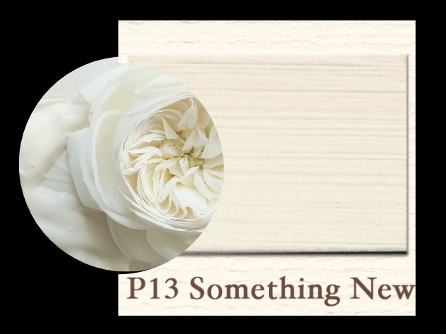 P13 Something New