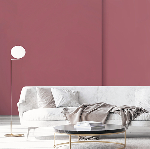 Raspberry - WALL PAINT - Environment