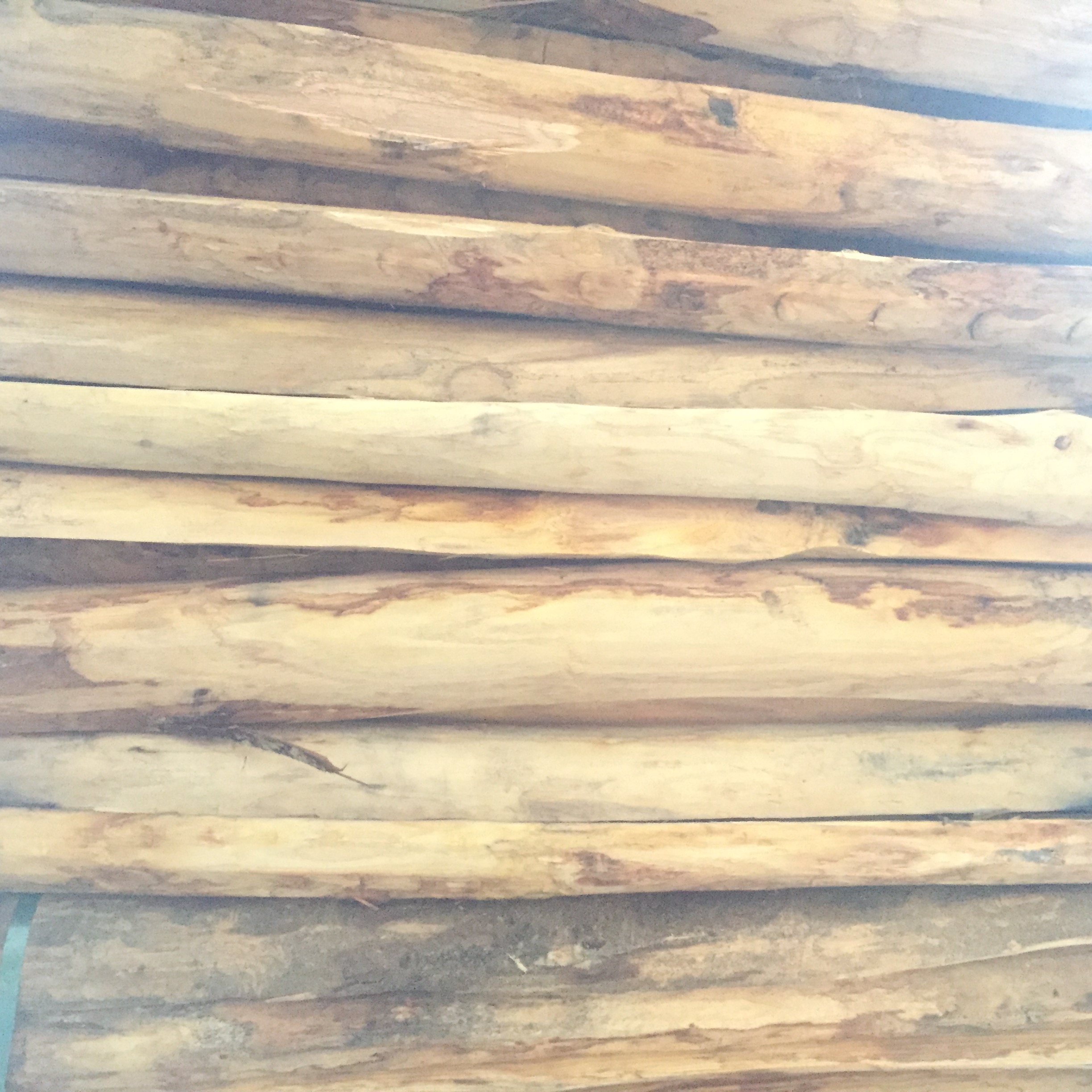 Kastanjestolpar längd 180 cm diam: 6/12, kluvna, skalade och spetsade
