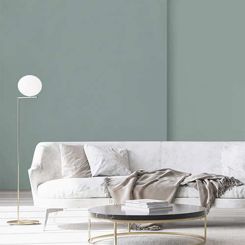Aloe Vera - WALL PAINT - Environment
