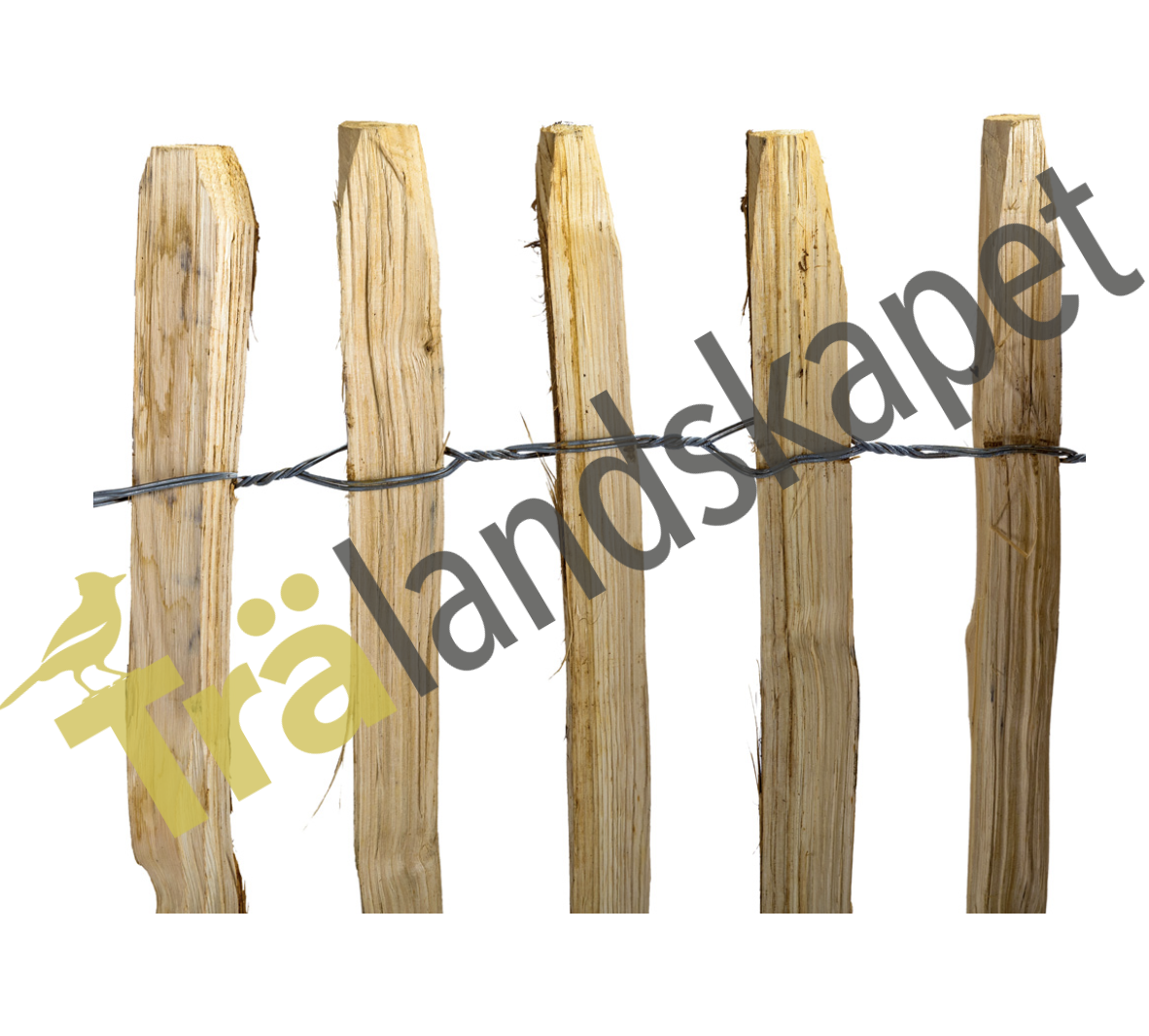 Kastanjestaket tätt, höjd 75 cm längd 10 meter, engelskt - 4