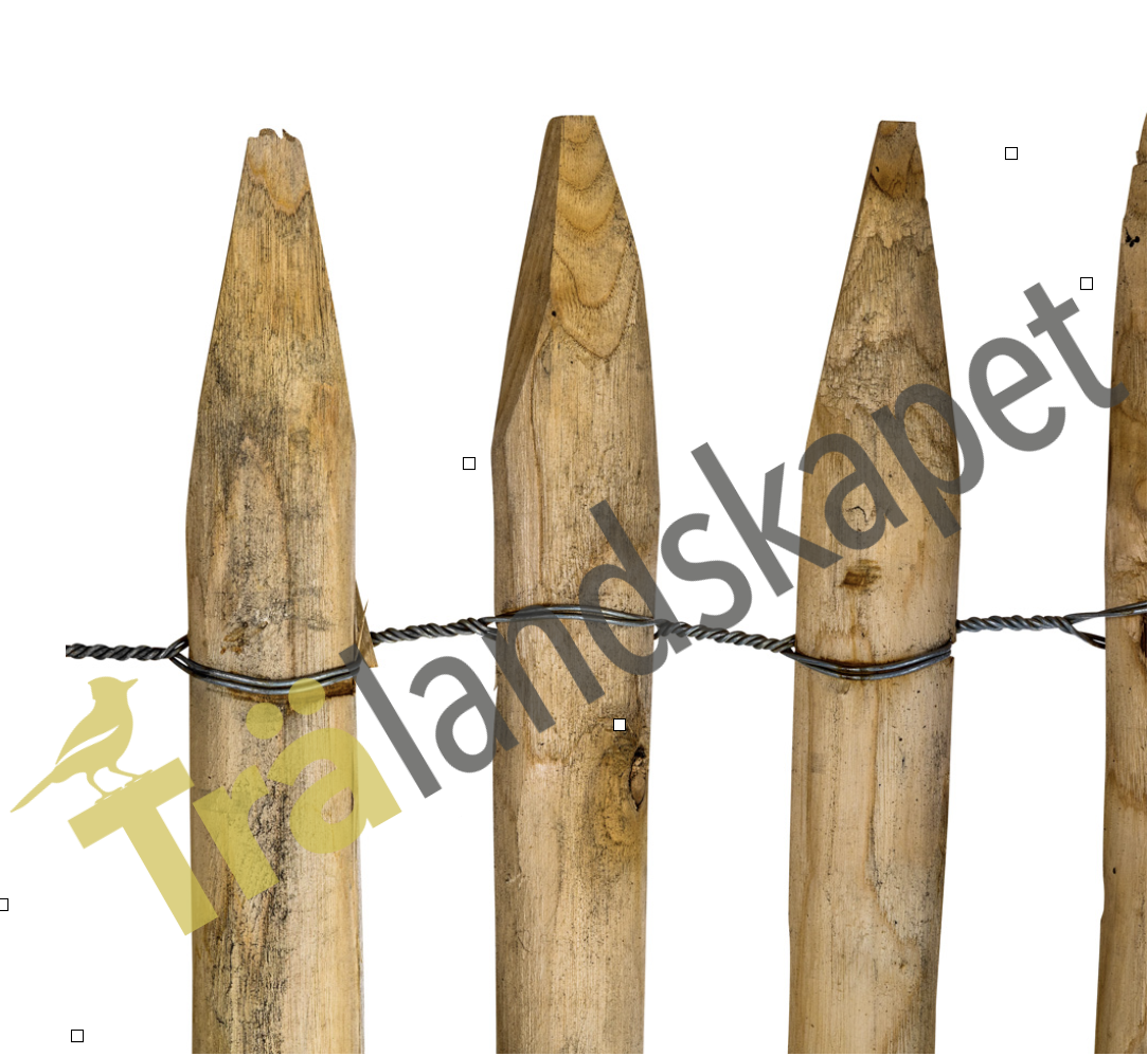 Kastanjestaket tätt, höjd 200 cm längd 5 meter, franskt - 5