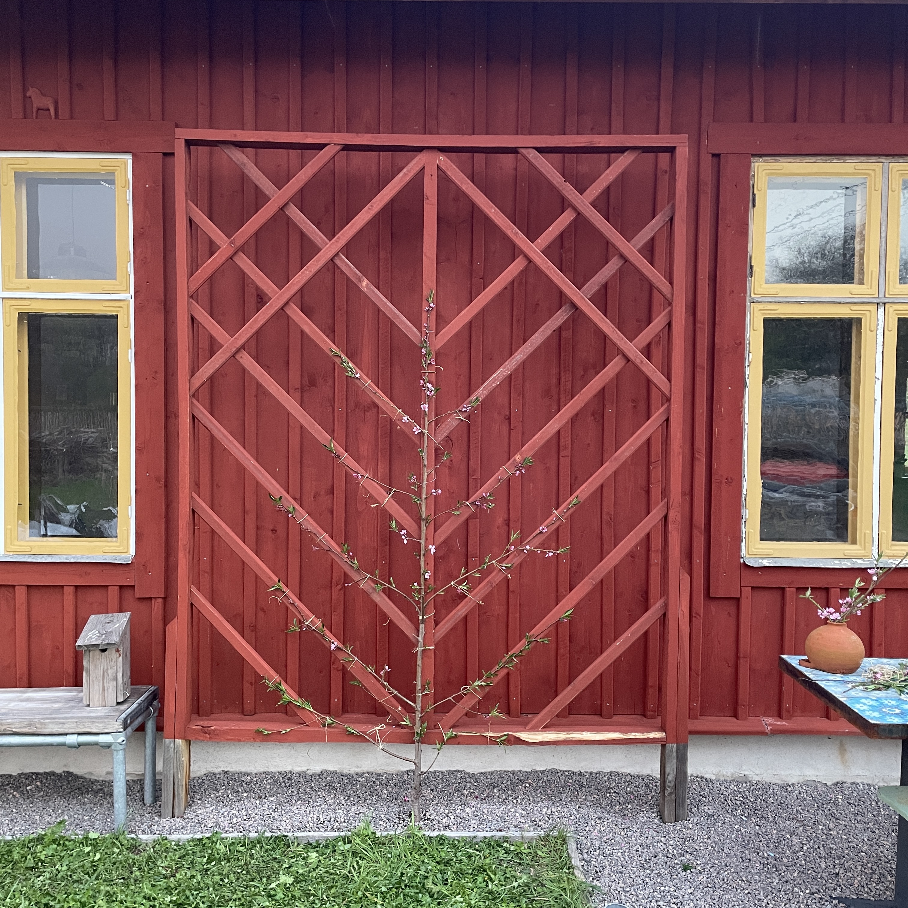 Ek/ Kastanje plank  3 x 20 cm , längd 200 cm  finsågad - 5