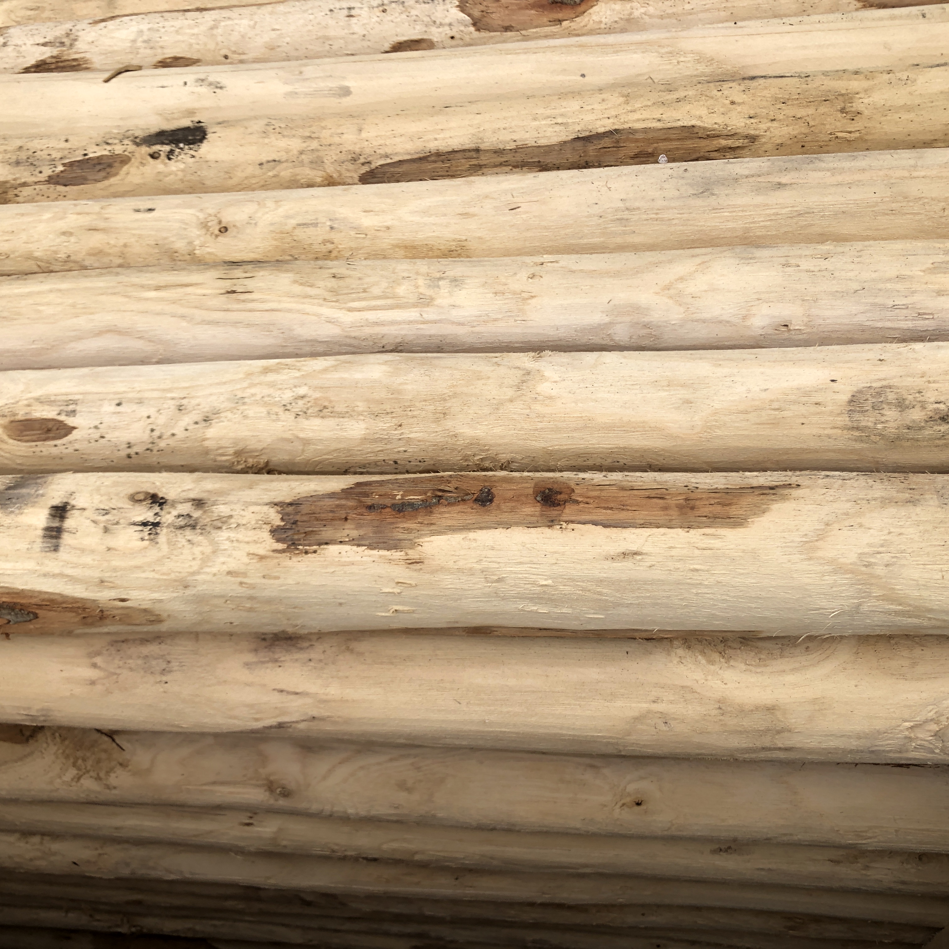 Kastanjestolpe, längd 230 cm Ø 8-10 cm skalade och spetsade
