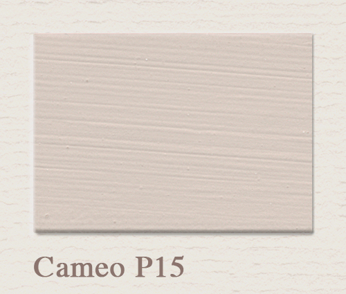P15 Cameo - PAINTING THE PAST