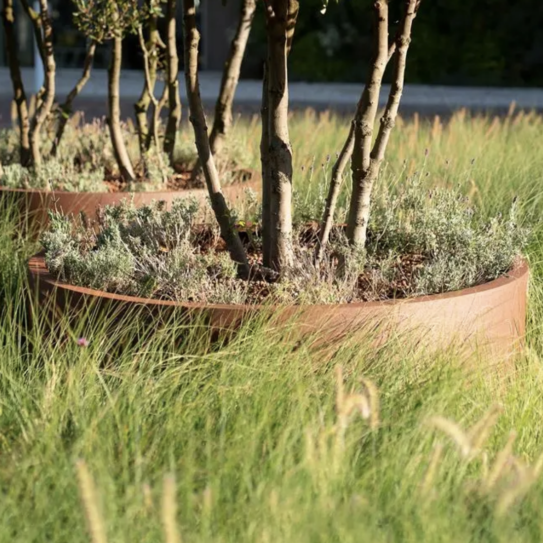 Planteringskärl  -  CIRCUM utan botten 5