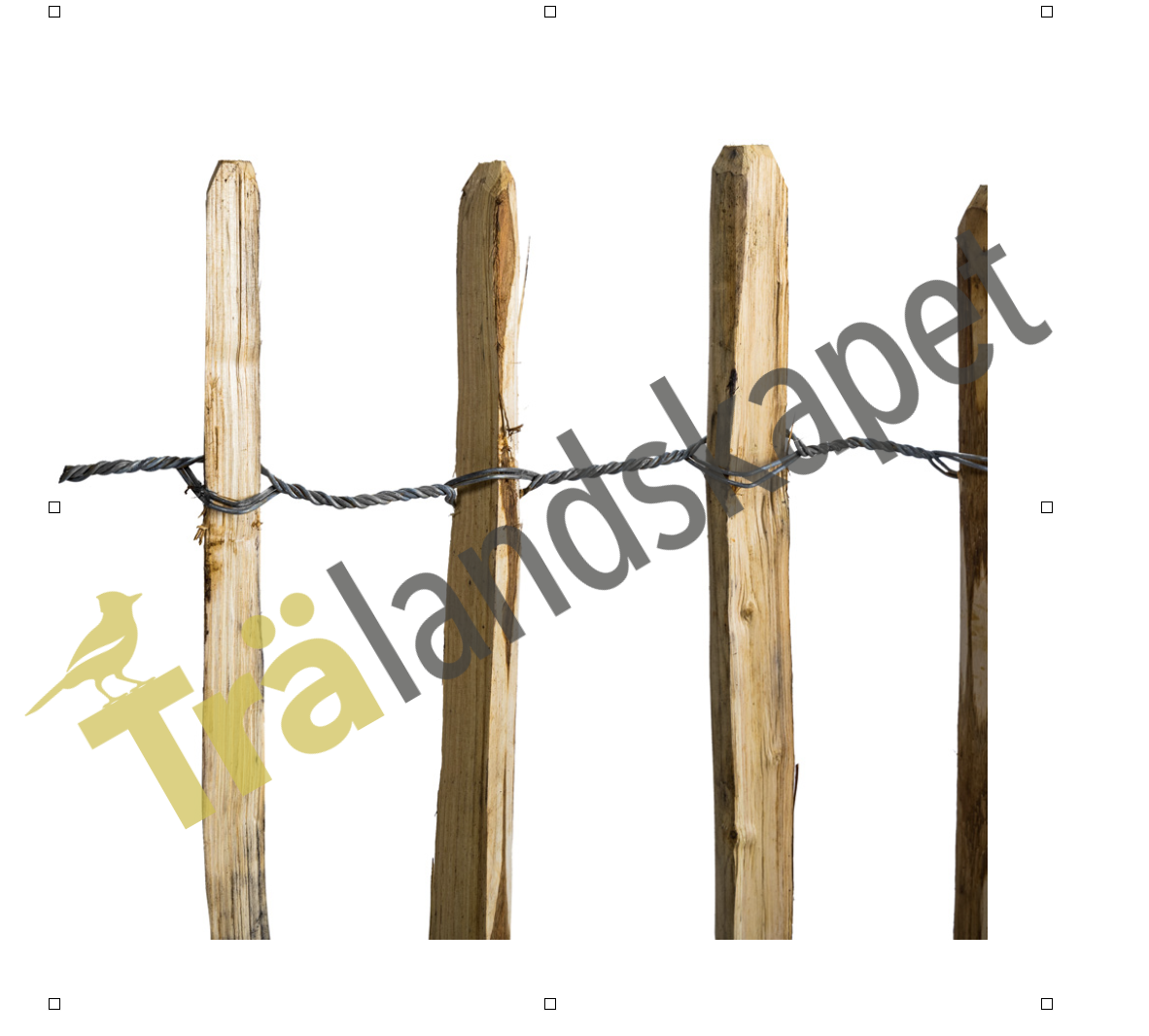 Kastanjestaket glest, höjd 90 cm längd 10 meter, engelskt - 7