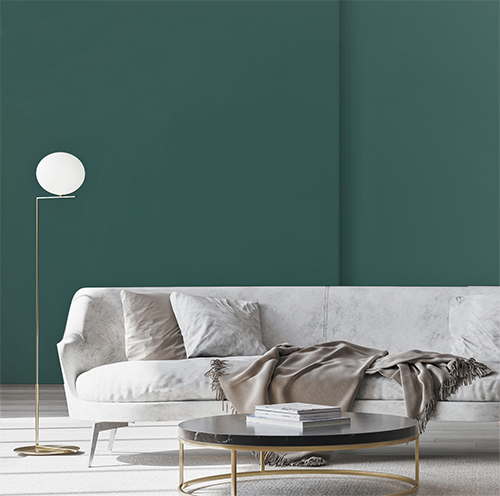 Peacock - WALL PAINT - Environment