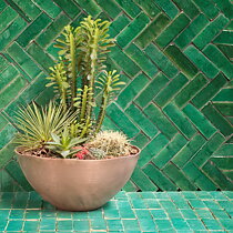 Bejmat Tiles