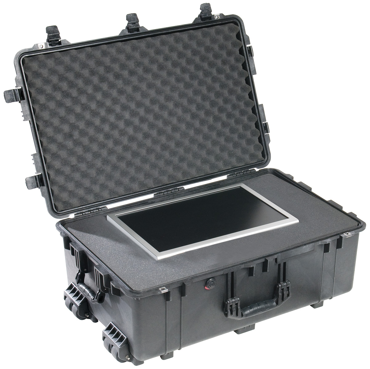 Peli 1650 Case - 4