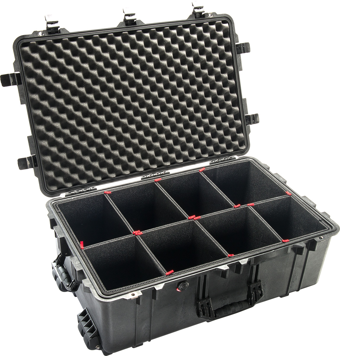 Peli 1650 Case - 5