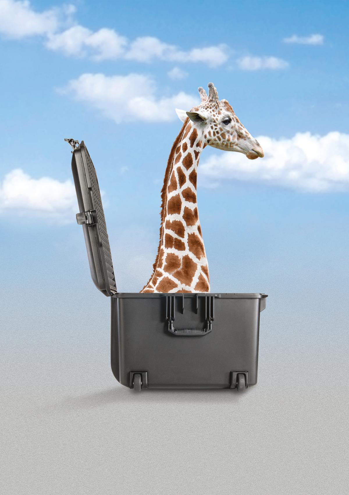 PELI 1507 AIR (38,5 X 28,9 X 21,6 CM) - 11