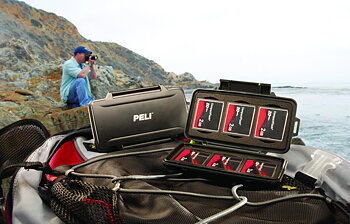 Memory Card Cases