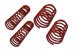 TA Technix lowering springs Safrom 900 40/40mm